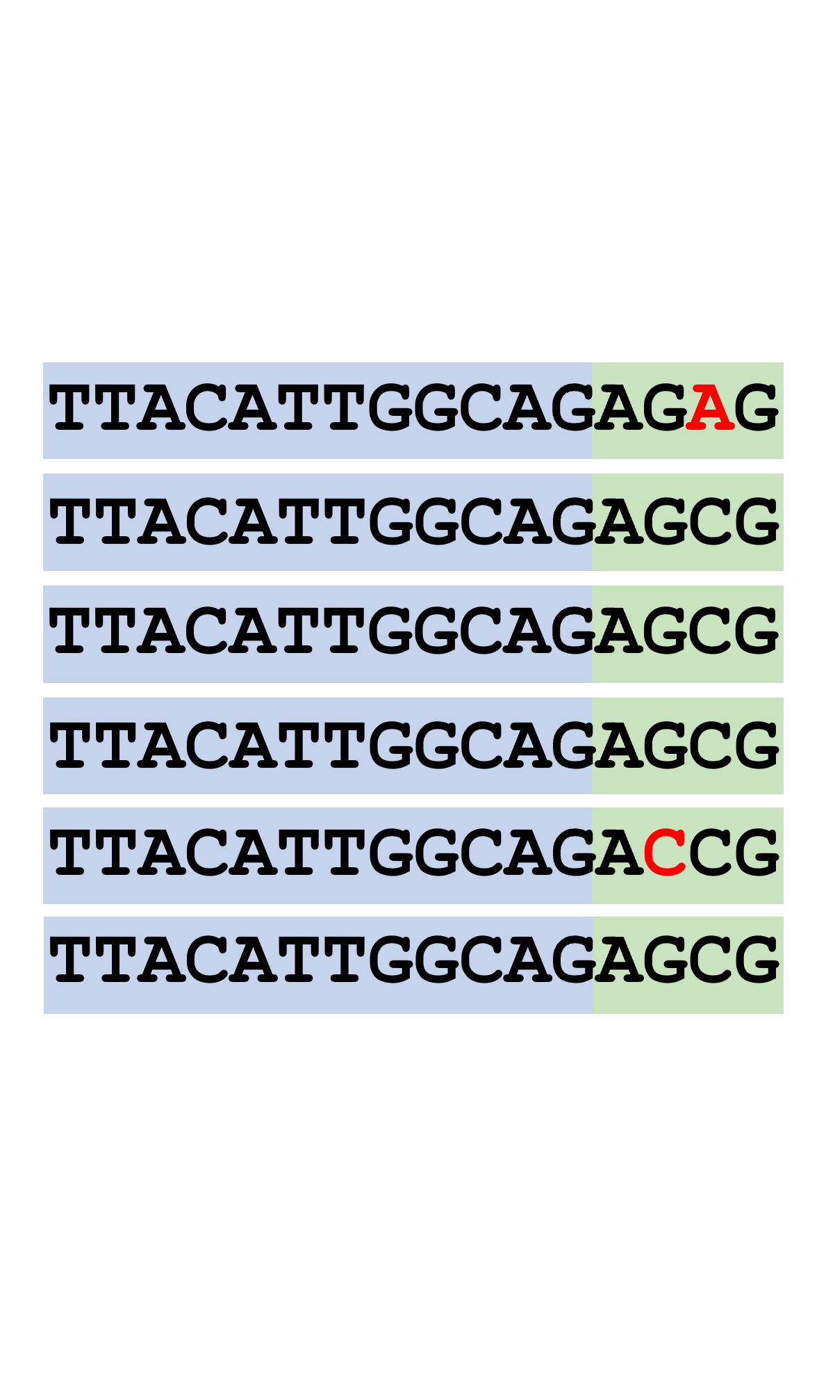 Estimating sequencing error rates, without alignment